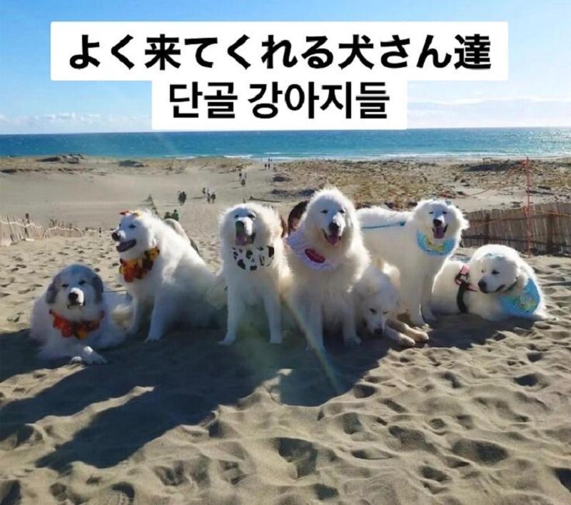 Plage Yuigahama Kamakura Exterior foto
