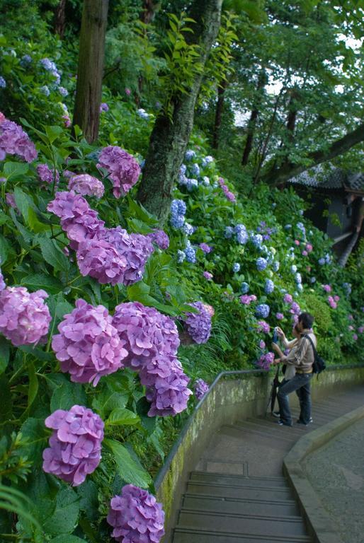 Plage Yuigahama Kamakura Exterior foto